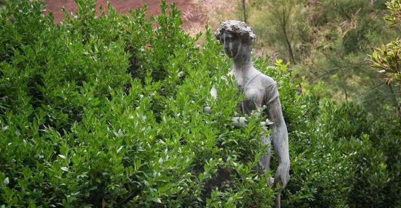 New York City: The Garden Photo Tour - Exploring the Garden