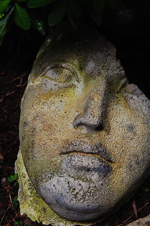 New York City: The Garden Photo Tour - Lush Greenery and Sculptures