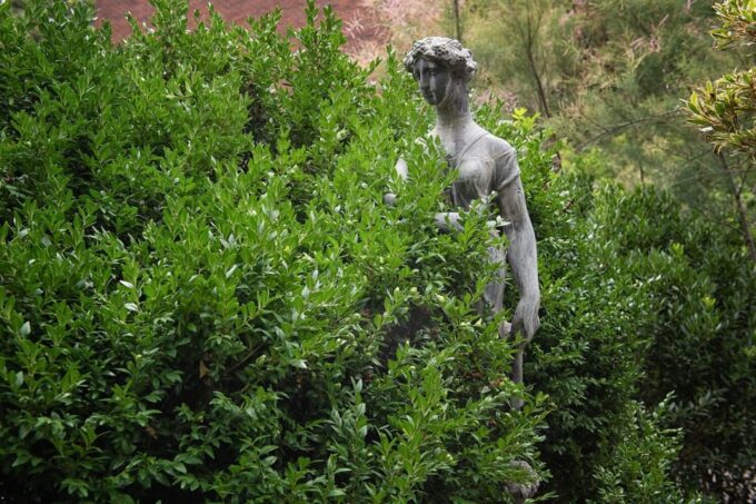 New York City: The Garden Photo Tour - Meet the Photographer