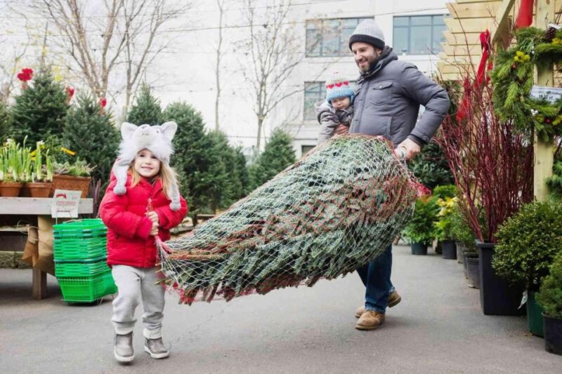 New York City's Iconic Christmas Tour - Tour Experience
