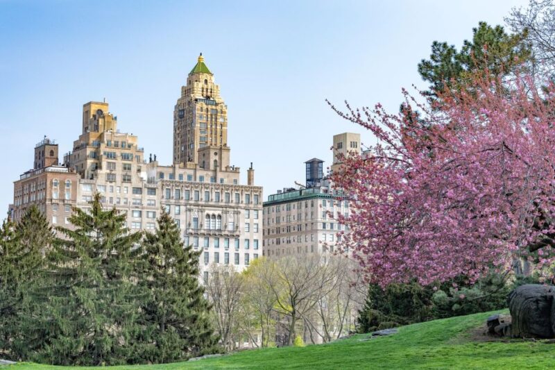 New York Edge Observation Deck & Little Island Pier 55 Tour - Booking and Cancellation Policy