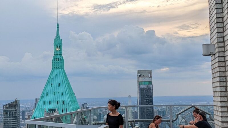 New York Rooftop Pub Crawl - Highlights of the Experience