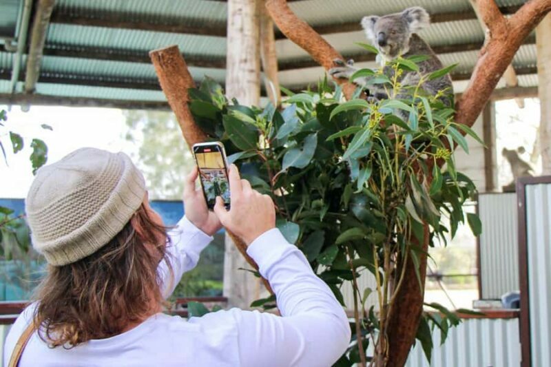 Newcastle: Animal Lovers Tour - Kangaroos, Dolphins & more! - An In-Depth Look at the Tour