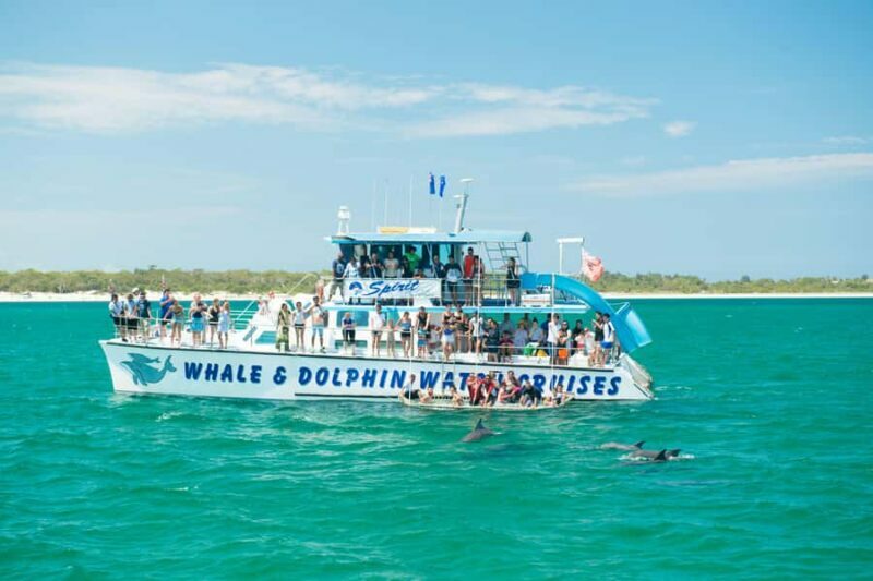 Newcastle: Animal Lovers Tour - Kangaroos, Dolphins & more! - Final Thoughts