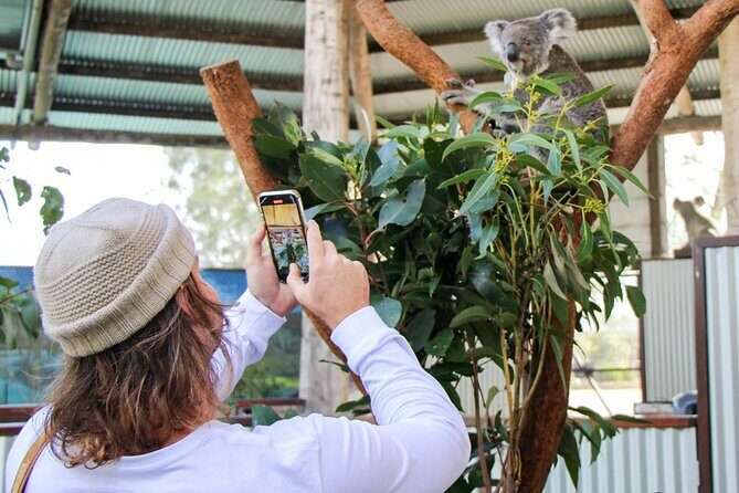 Newcastle: Animal Lovers Tour - Kangaroos, Dolphins & more! - Practical Details and Tips