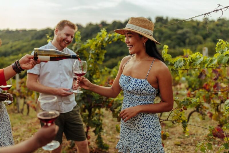 Newcastle: Boutique Hunter Valley Wine Tour - Pickup and Drop-off