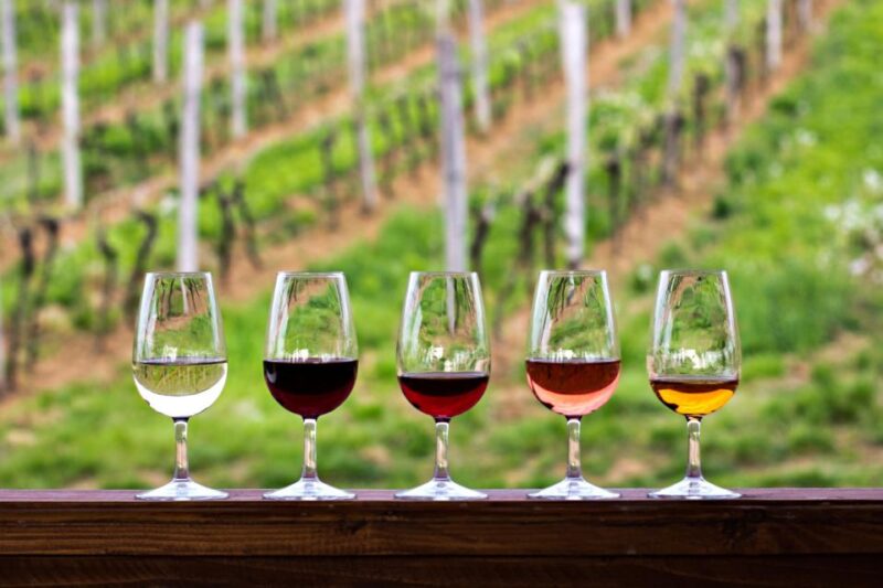Newcastle: Boutique Hunter Valley Wine Tour - Itinerary Highlights