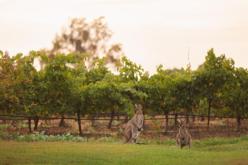 Newcastle: Boutique Hunter Valley Wine Tour - Travel Duration