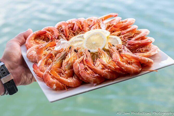 Newcastle Harbour Luncheon Cruise - Who Is This Tour Best For?