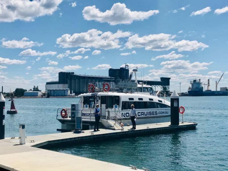Newcastle: Humpback Whale Watching Cruise and Harbor Tour - FAQ