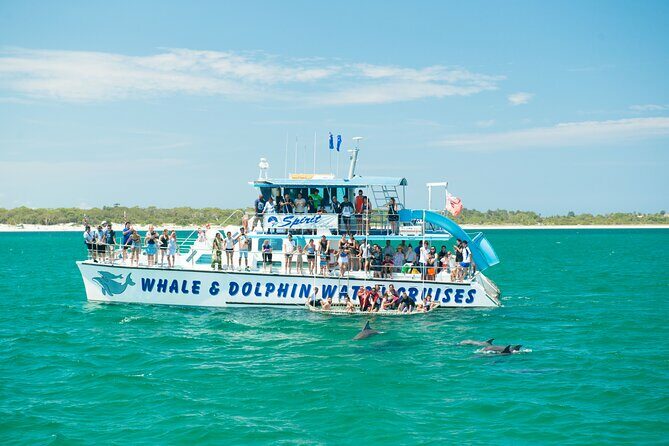 Newcastle: Port Stephens day tour - Dolphins, hike & swim! - Key Points