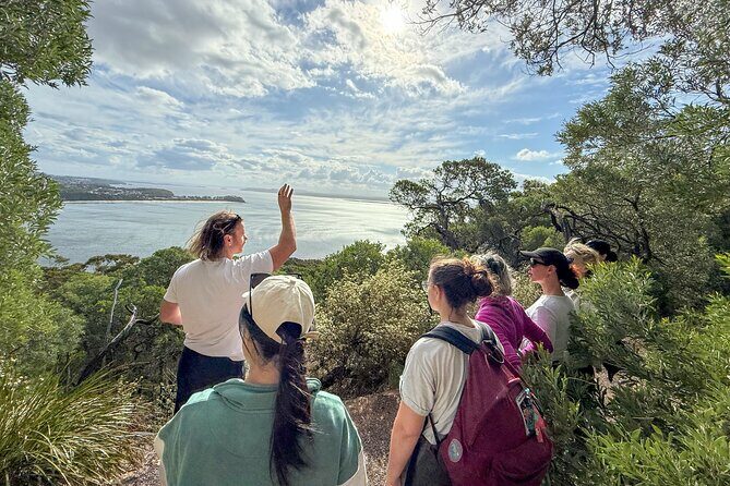 Newcastle: Port Stephens day tour - Dolphins, hike & swim! - The Sum Up