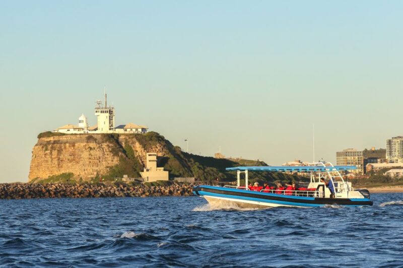 Newcastle: Small Group Humpback Whale Encounter Tour - Recap