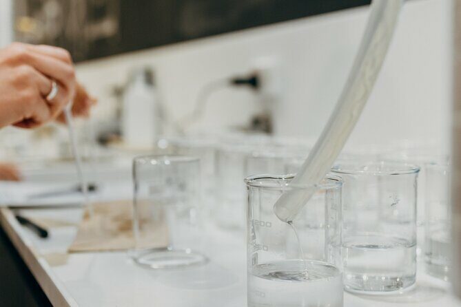 Newcastle Spirit School Experience at Earp Distilling Co. - Starting Point and Atmosphere