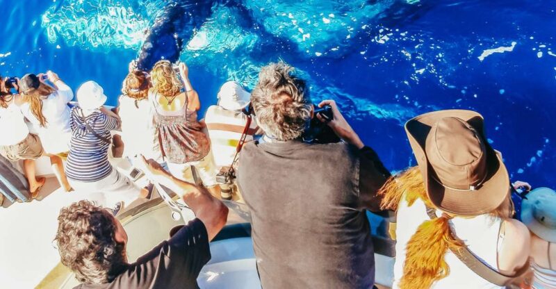 Newport Beach: 2-Hour Whale Watching Tour - Location and Accessibility