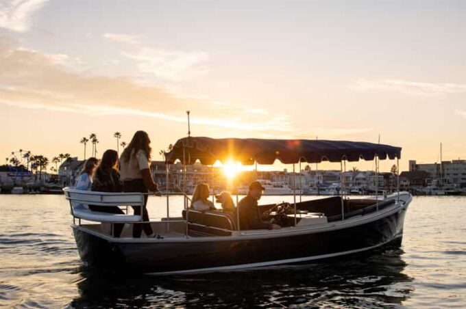 Newport Beach: Electric Boat Rental - Scenic Views and Potential Sightings