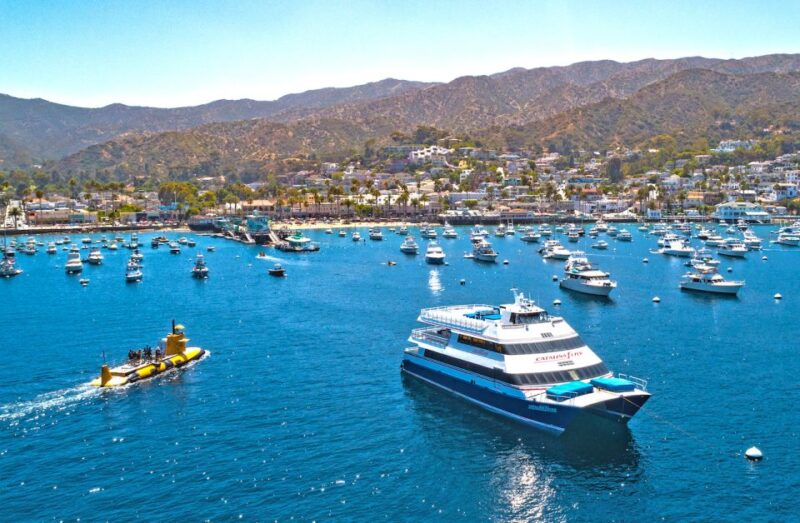 Newport Beach: Ferry Ticket To/From Catalina Island - Ferry Service Duration