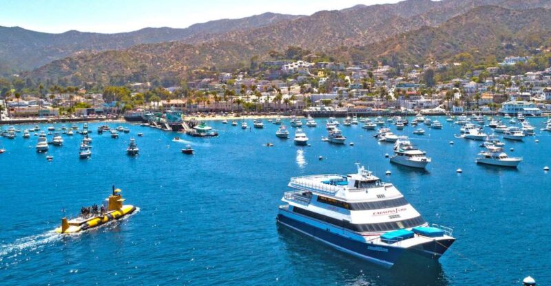 Newport Beach: Ferry Ticket To/From Catalina Island - Newport Beach Activities