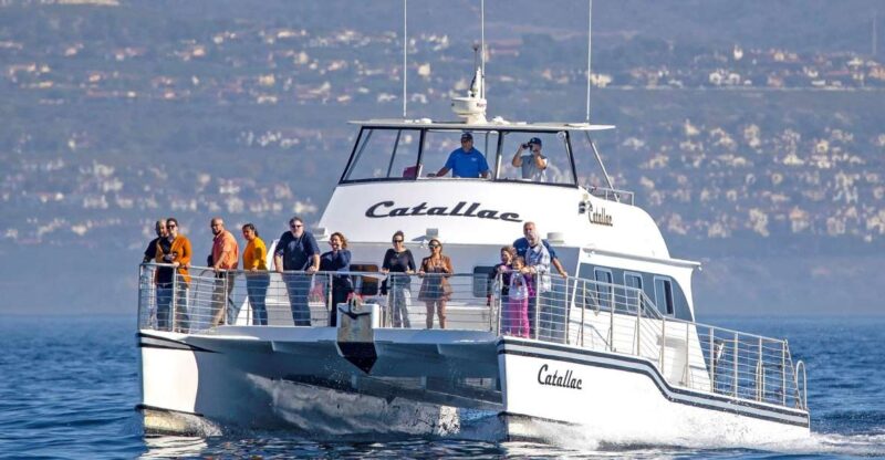 Newport Beach: Luxury Whale Watching Catamaran Cruise - Experience and Highlights
