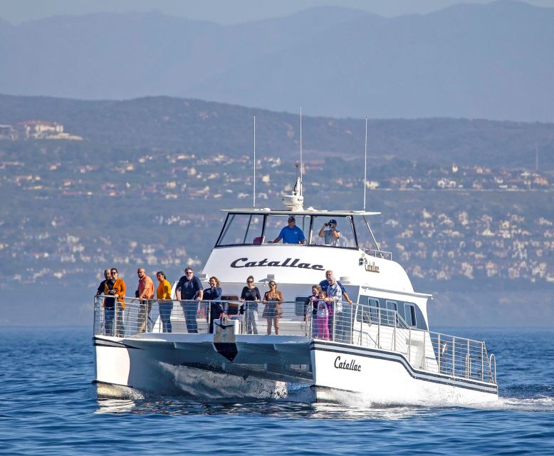 Newport Beach: Luxury Whale Watching Catamaran Cruise - Meeting Point and Arrival