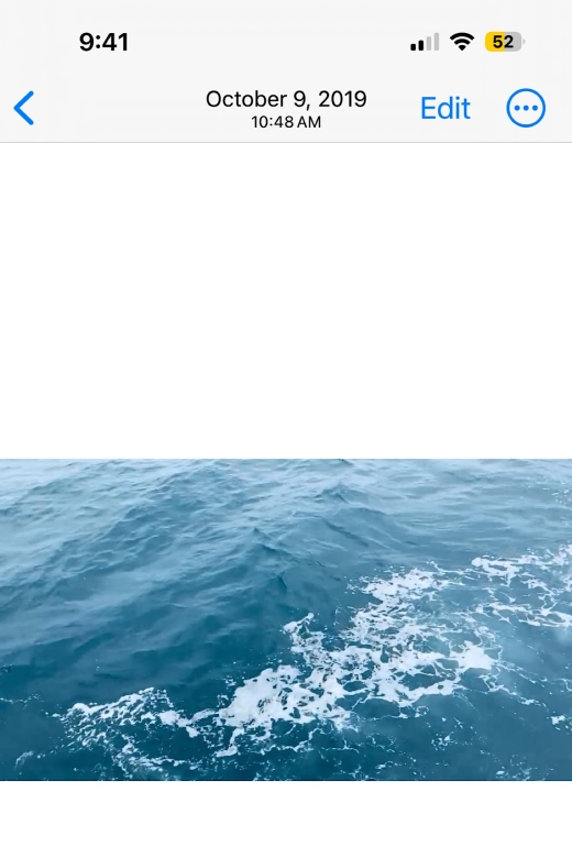 Newport Beach Private Tour & Whale Watching Cruise - Whale Watching Opportunities