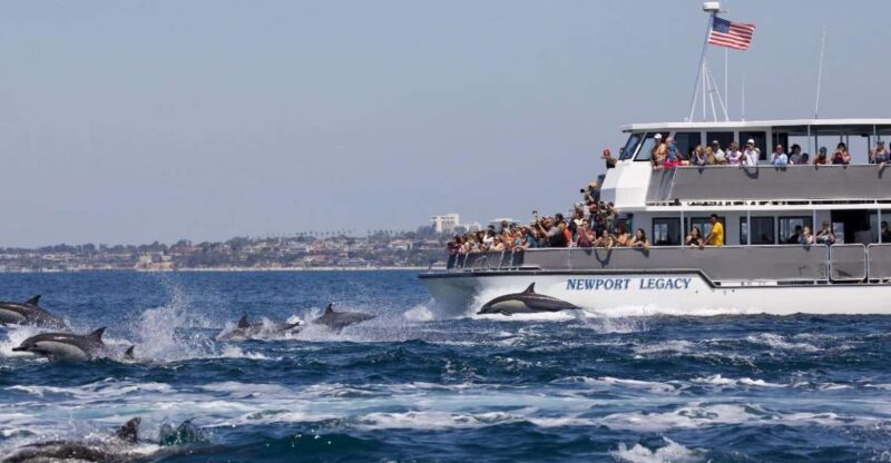 Newport Beach: Whale and Dolphin-Watching Cruise - Pricing and Reservation Details