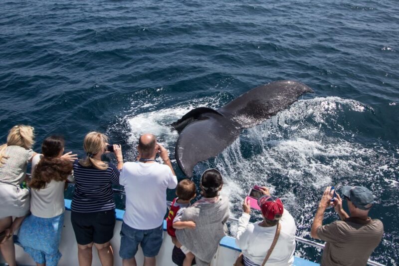 Newport Beach: Year-Round Whale Watching Cruise - Booking and Cancellation Policies