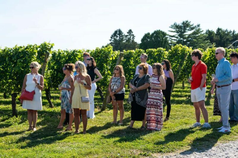 Newport: Vineyards Winery Tour + Tasting - FAQs