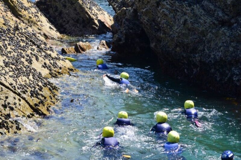 Newquay: Coasteering - Coastal Exploration