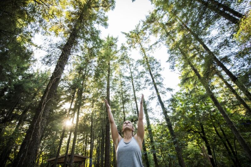 Newquay: Surf, Yoga & Woodland Wild Camp - Key Points