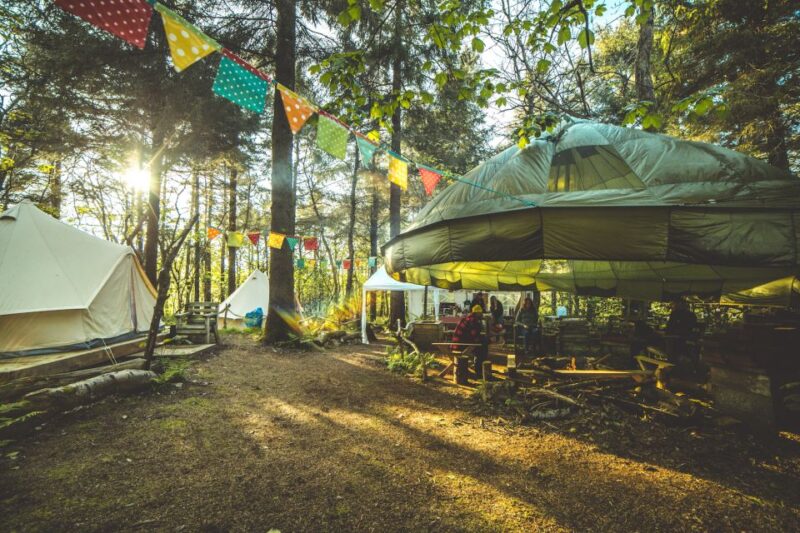 Newquay: Surf, Yoga & Woodland Wild Camp - Surfing Lessons on Newquay Beaches