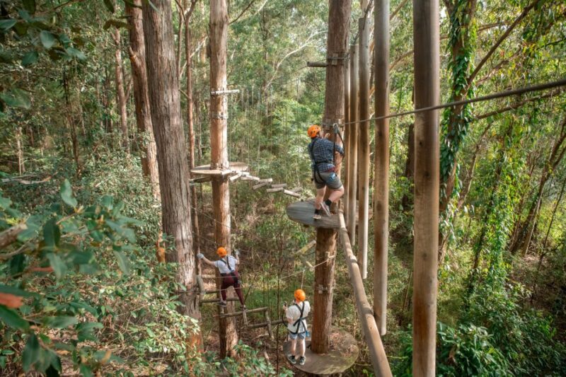 Newscastle: Australian Tree Ropes Course Adventure - Key Points