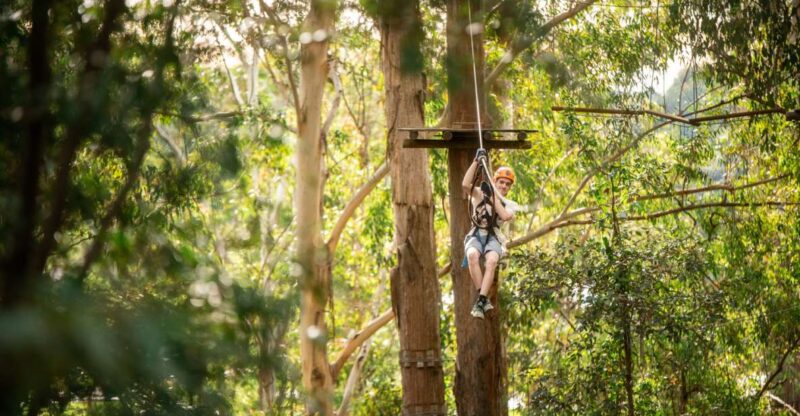 Newscastle: Australian Tree Ropes Course Adventure - Booking Details