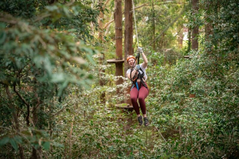 Newscastle: Australian Tree Ropes Course Adventure - Customer Ratings