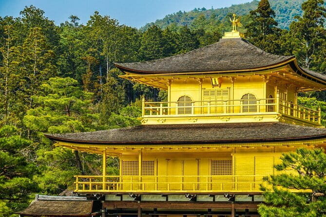 Next-Generation Local Guide: Private Kobe Tour - Practicalities and Logistics
