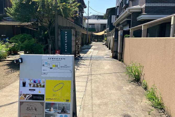 Nezu Shrine and Yanaka Backstreet Walking Tour by Storyteller - Understanding the Tours Accessibility and Physical Requirements