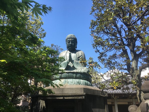 Nezu Shrine and Yanaka Backstreet Walking Tour by Storyteller - Highlights of the Tour Experience