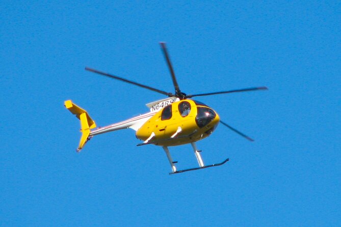 NF USA - Luxury Helicopter Tour With Maid of the Mist & Lunch - Accessible and Inclusive Tour