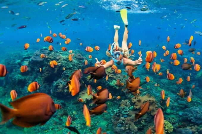 Ngonong/Three Gilis Tour - Gili Islands Visit