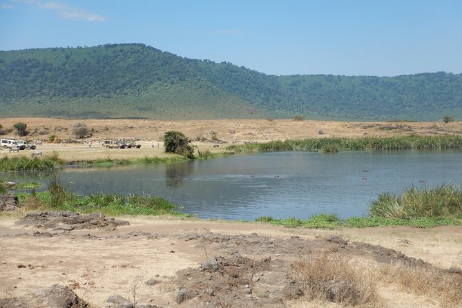 Ngorongoro Adventure Day Tour From Arusha - Safari Vehicle and Inclusions