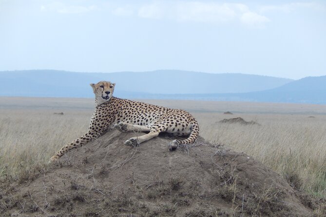 Ngorongoro Adventure Day Tour From Arusha - Additional Tour Information