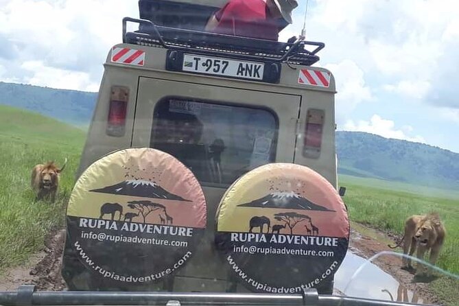 Ngorongoro Crater Day Trip - Booking Process