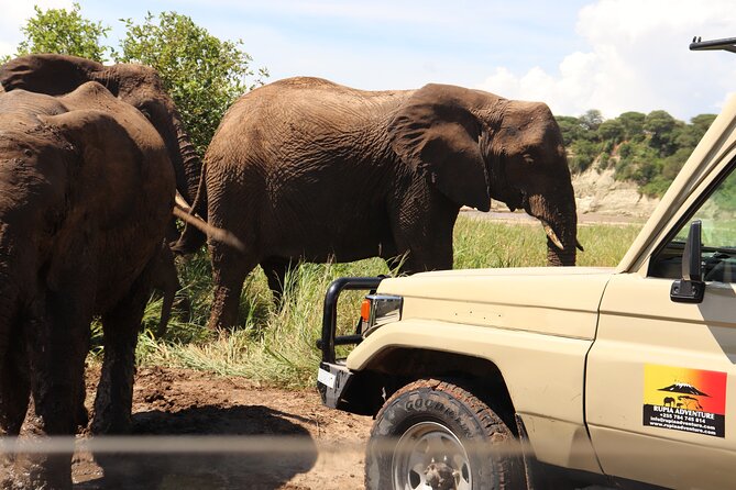 Ngorongoro Crater Day Trip - Accessibility Considerations