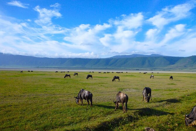 Ngorongoro Crater Day Trip - Pricing Details