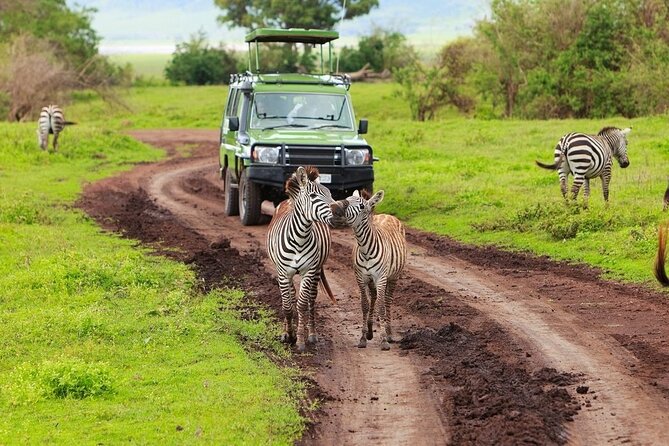 Ngorongoro Crater Day Trip - Meeting Point and Pickup Information