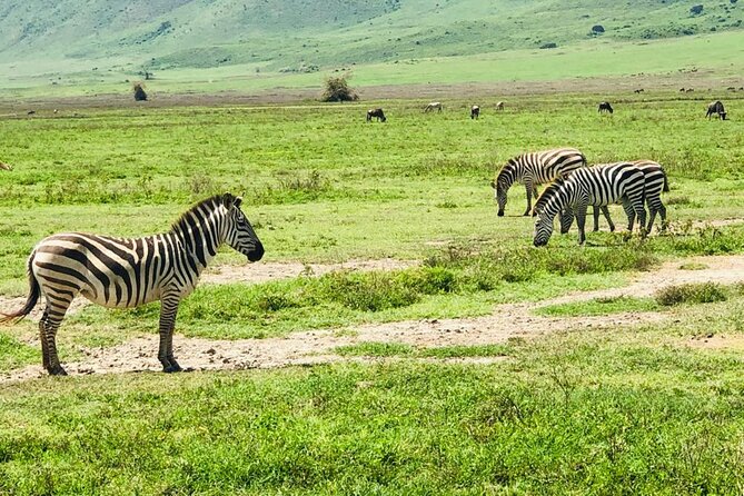 Ngorongoro Crater Day Trip - Accessibility and Transportation