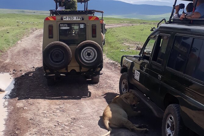 Ngorongoro Crater Day Trip - Review Highlights