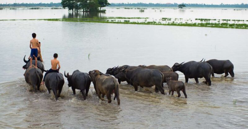 Nha Rong Port: Private Mekong Delta Tour - Additional Information