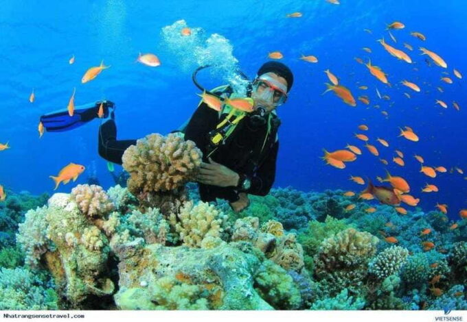NHA TRANG 3 ISLAND VIP TOUR - Inclusions