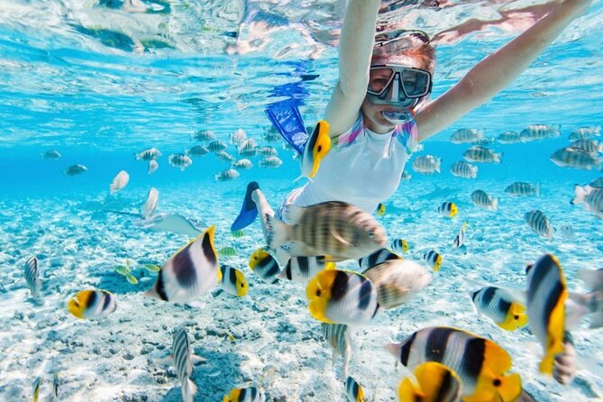 Nha Trang 3 Island VIP Tour - Pricing and Discounts